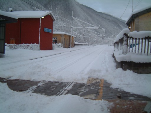  Image name: DSCF5088.JPG 
 width: 512 pixel 
 height: 384 pixel 
 Size: 42069 bytes 
 Click to enlarge 